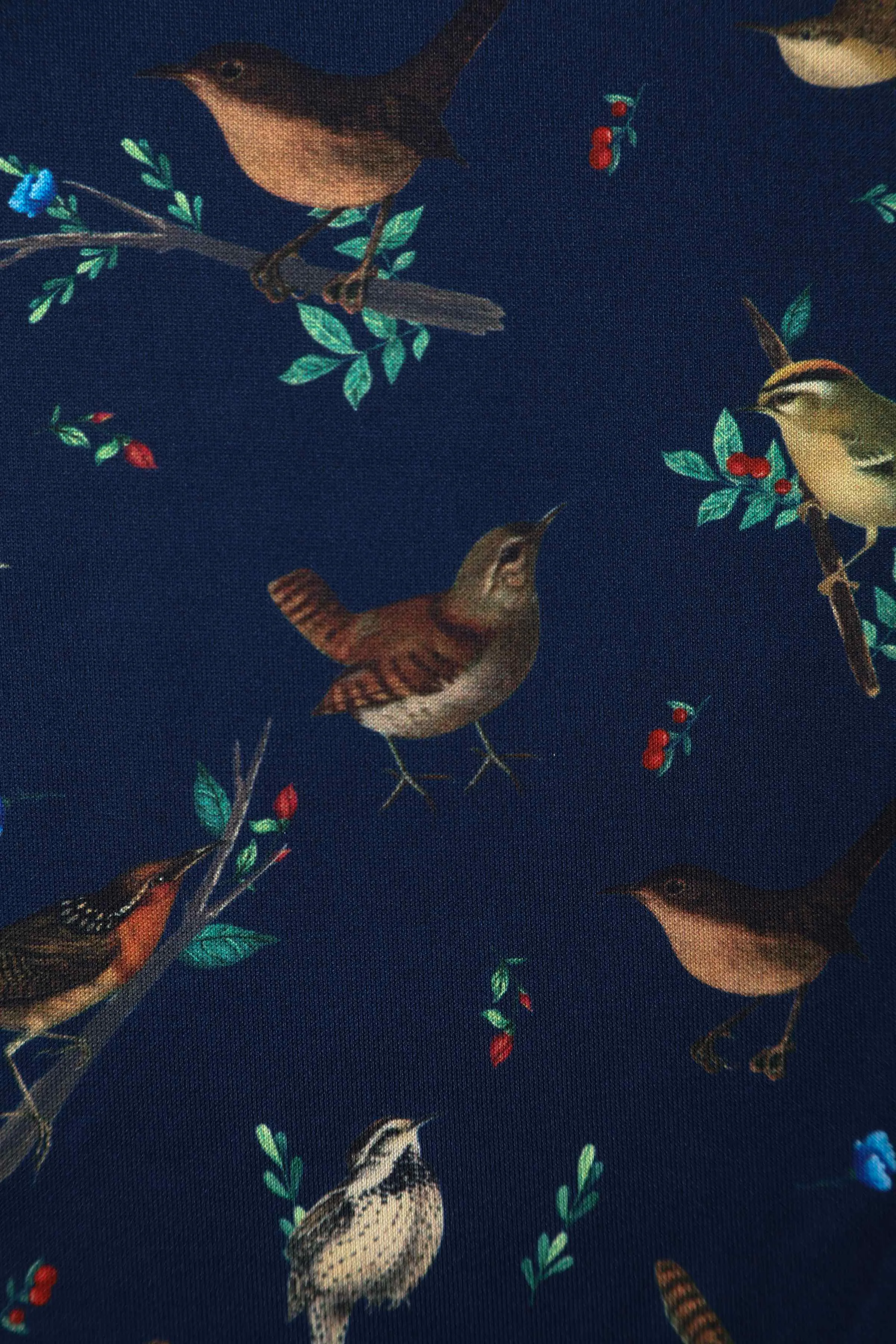 Amanda Blue Bird Print Swing Dress