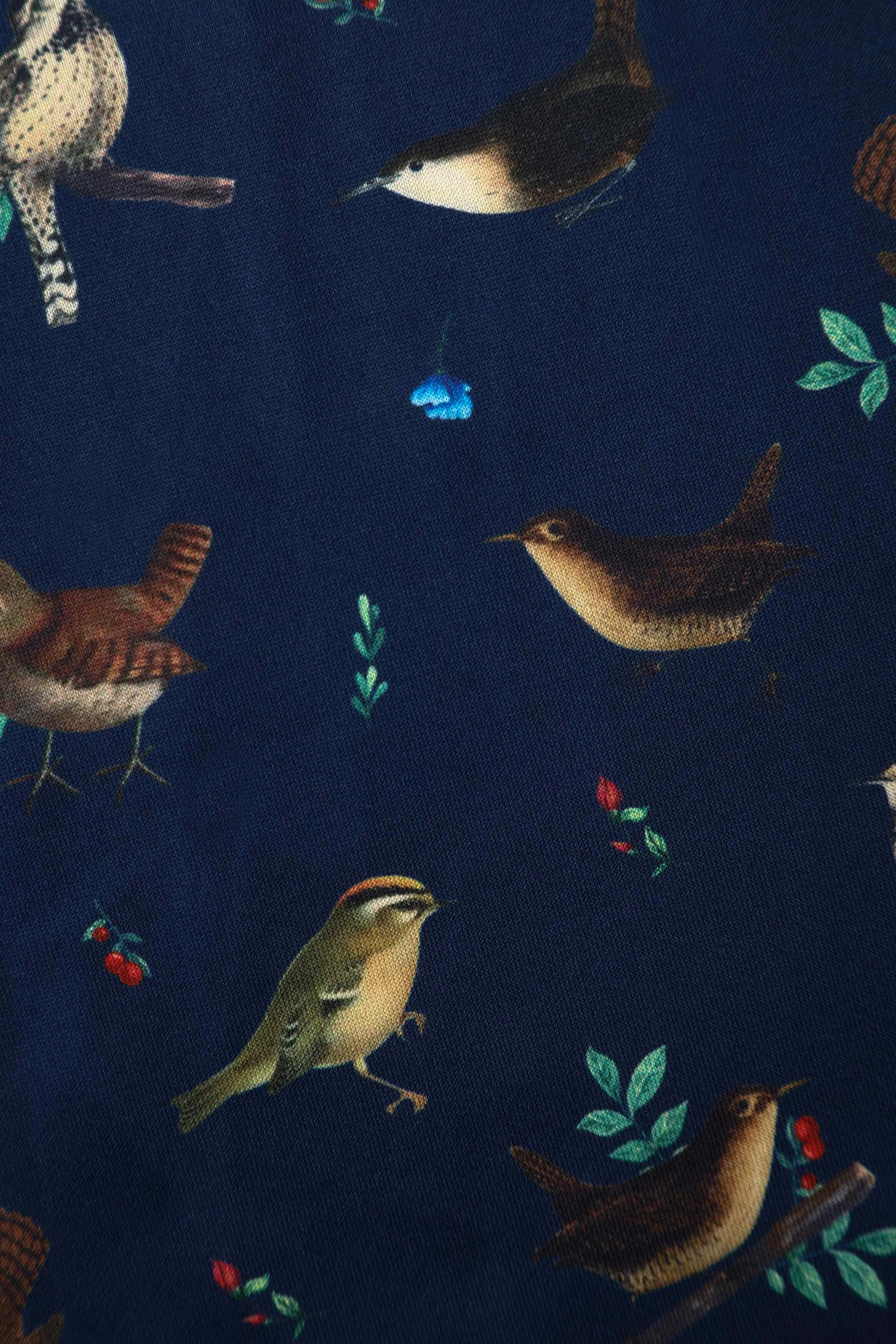 Amanda Blue Bird Print Swing Dress