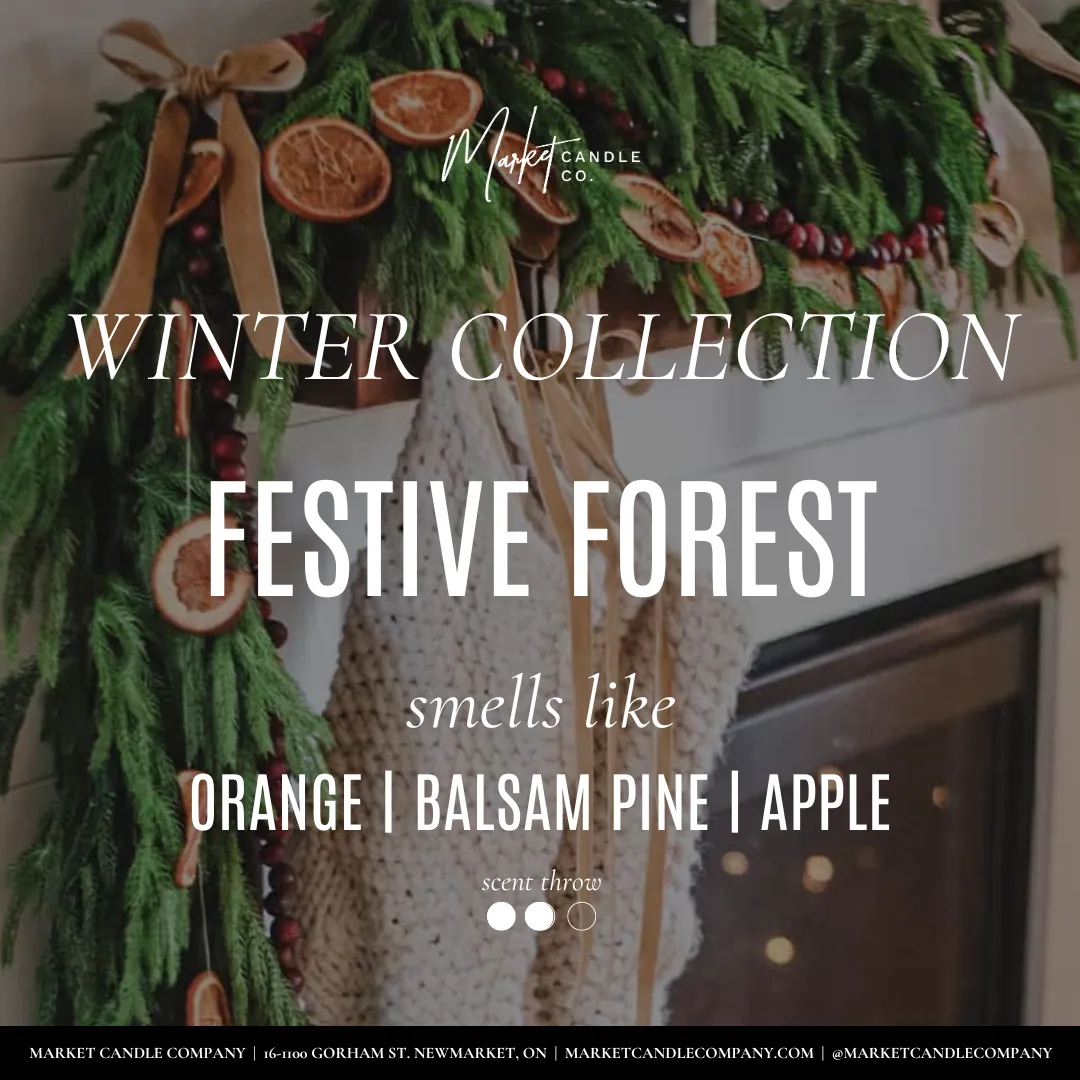 FESTIVE FOREST SOY CANDLE- WHOLESALE