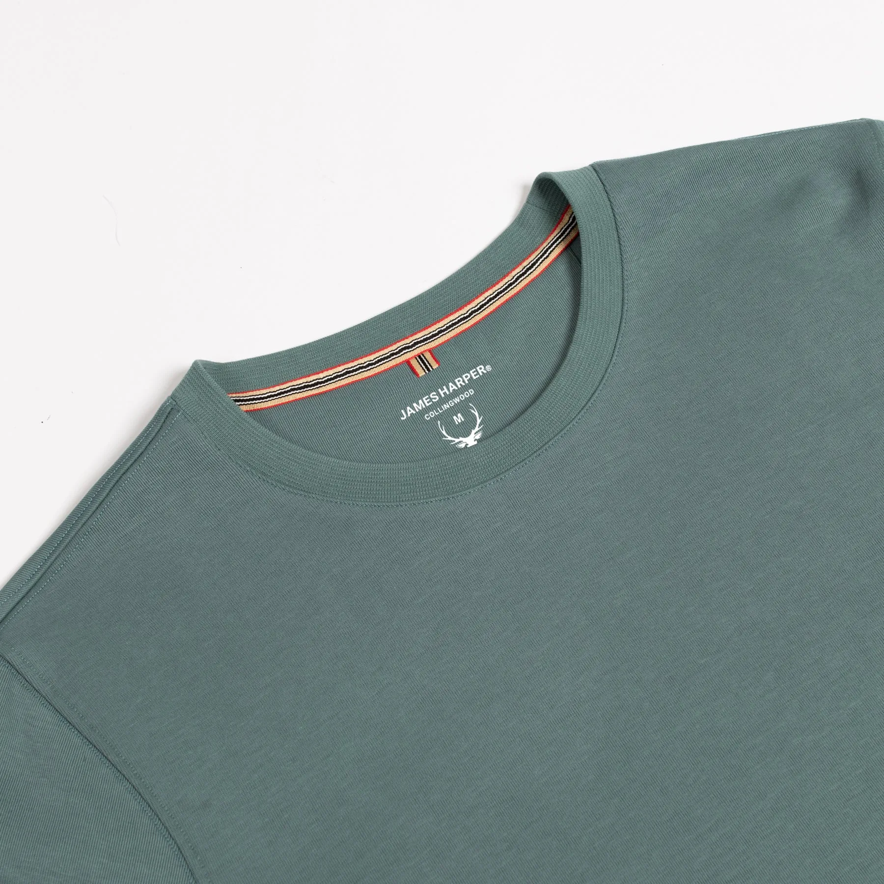 Forest Cotton Sweatshirt