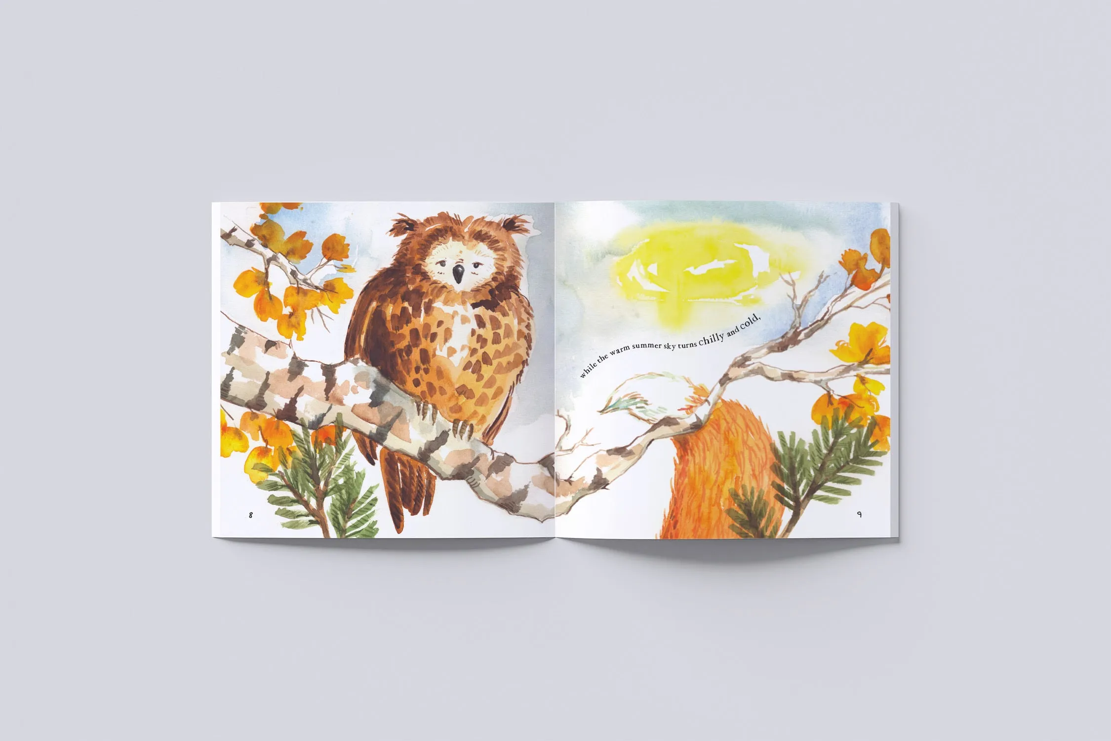 Foxes in Fall