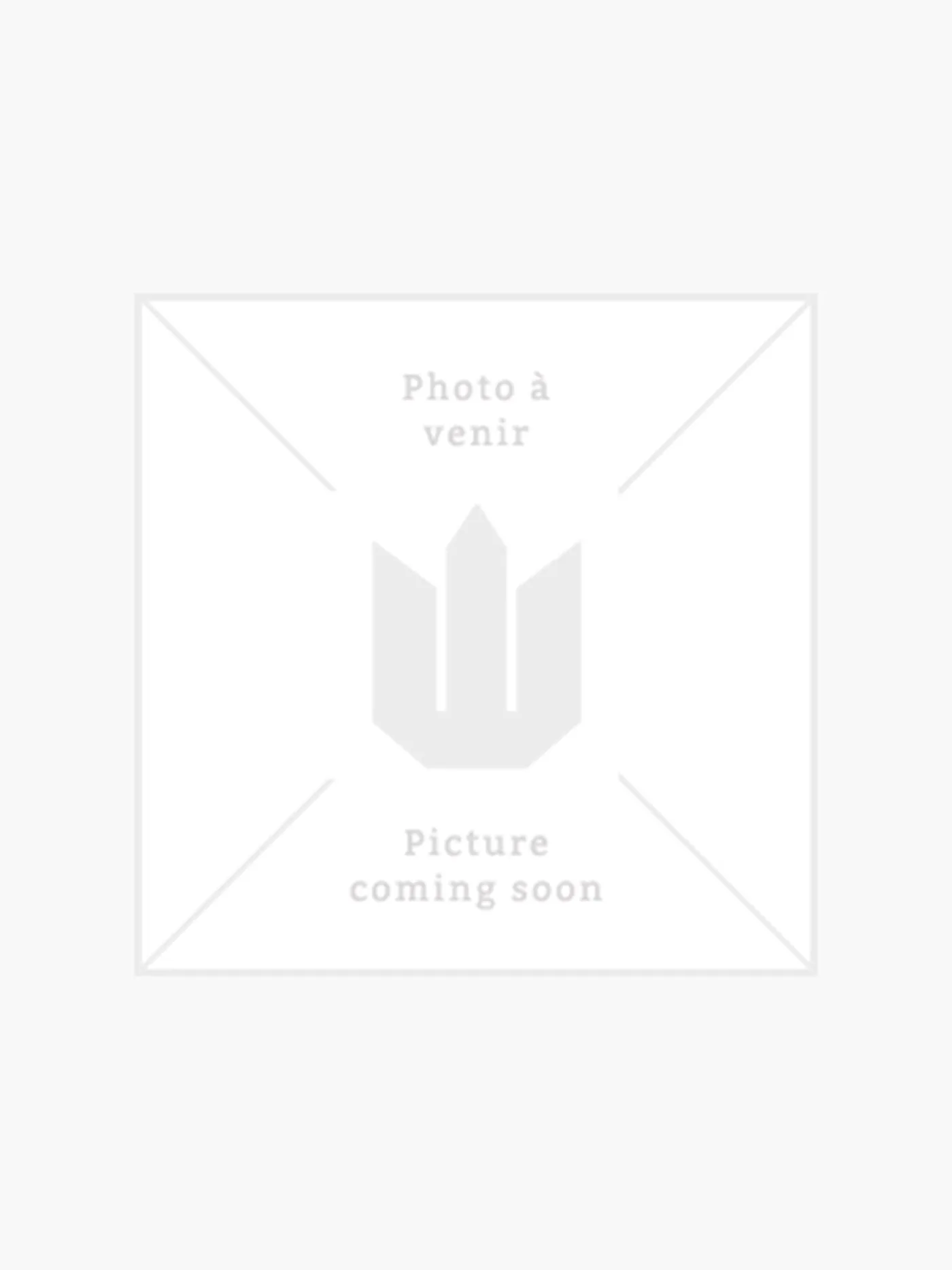Orion Handbag