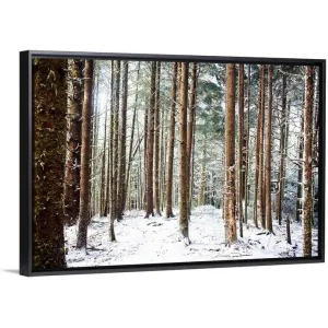 "A snowy landscape during winter" Black Float Frame Canvas Art