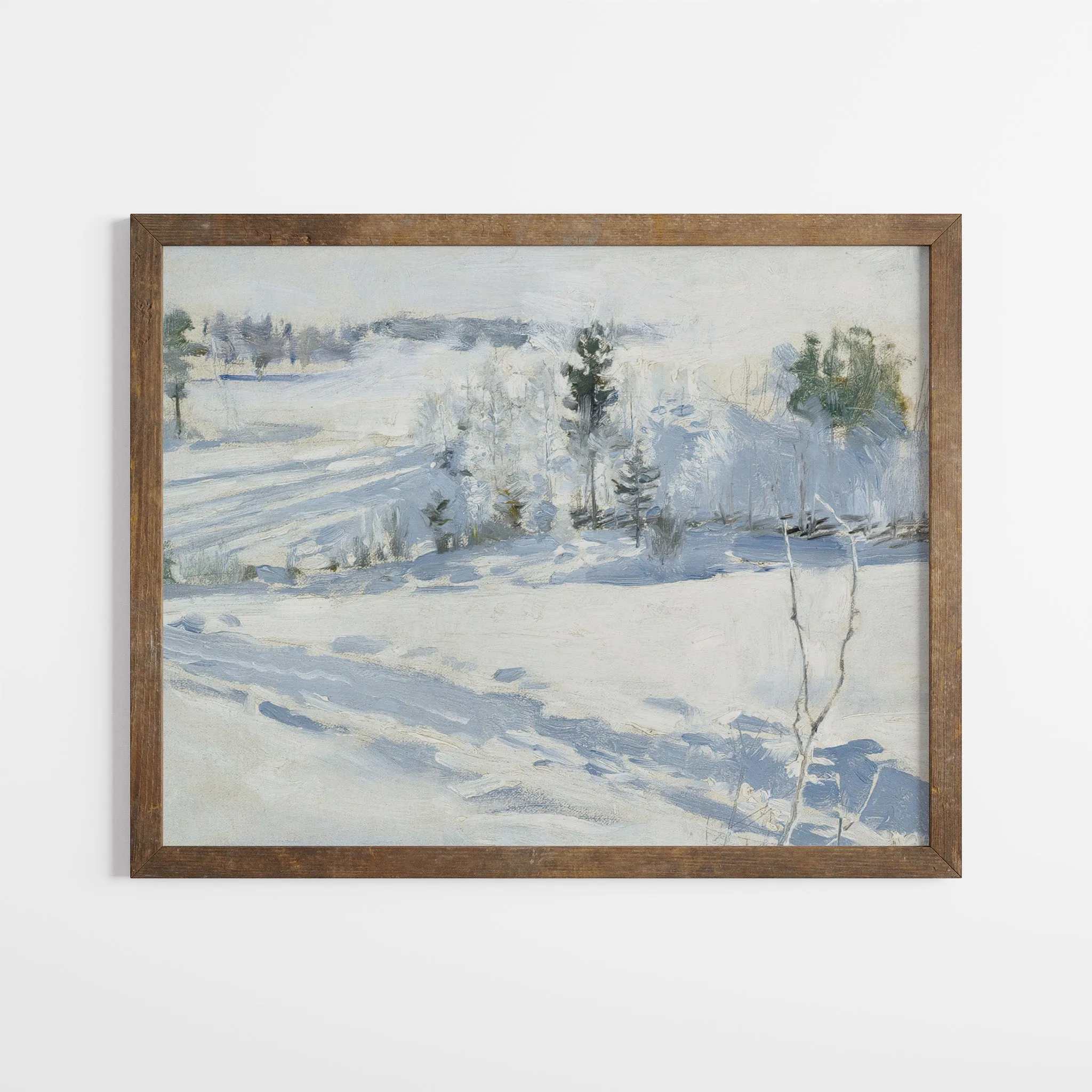 Snow Landscape
