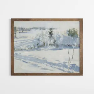 Snow Landscape