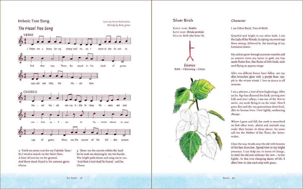 The Children's Forest: Stories & Songs, Wild Food, Crafts & Celebrations
