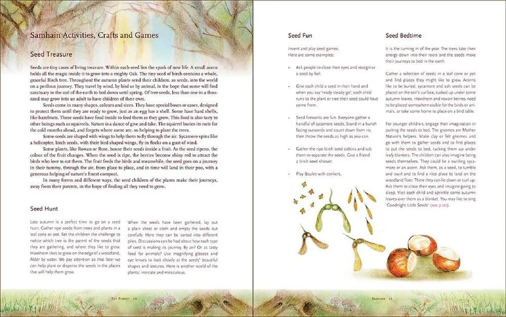 The Children's Forest: Stories & Songs, Wild Food, Crafts & Celebrations