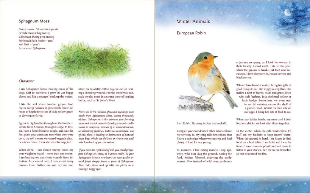The Children's Forest: Stories & Songs, Wild Food, Crafts & Celebrations