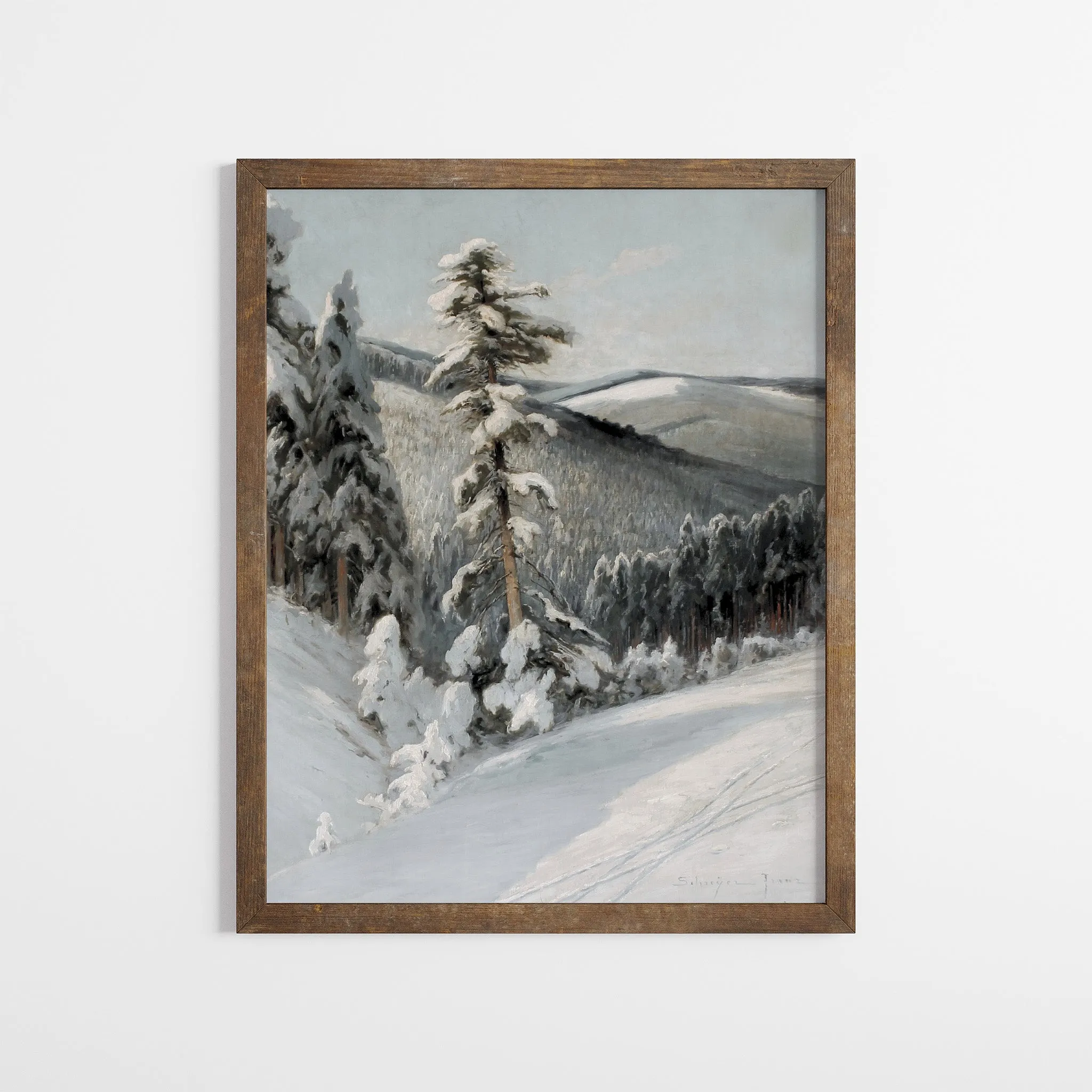 Winter Pines